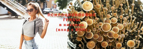 ГАЛЛЮЦИНОГЕННЫЕ ГРИБЫ Армянск